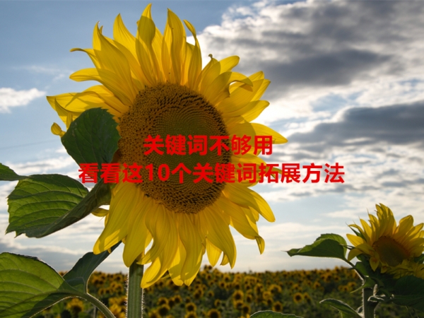 關鍵詞不夠用，看看這10個關鍵詞拓展方法！