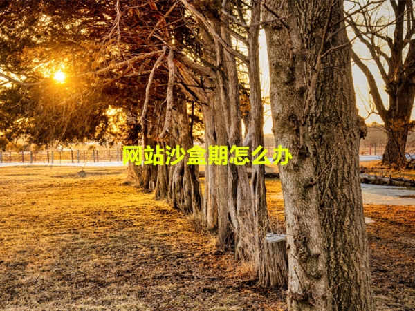 網(wǎng)站沙盒期怎么辦？